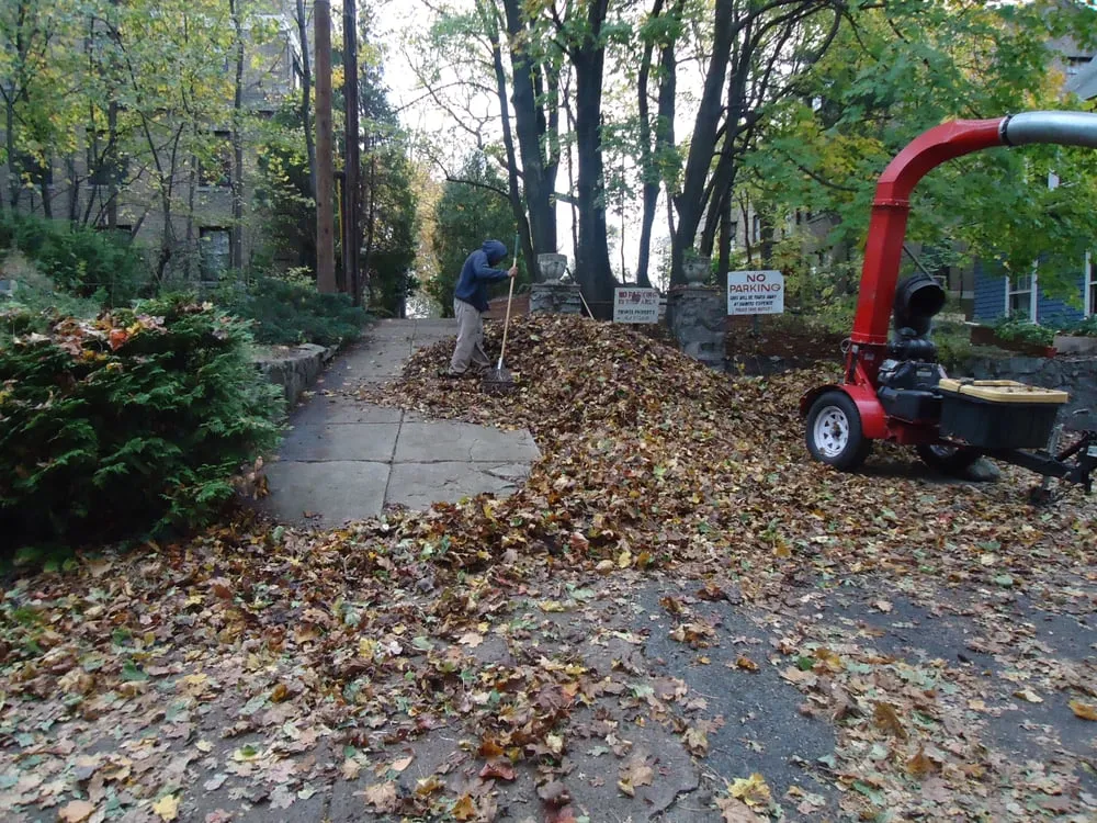 Trusted yard maintenance in Medford, MA by Smith Landscaping