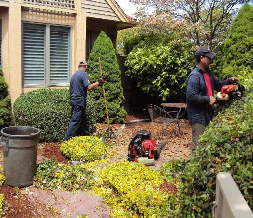 Reliable yard cleanup service in Medford, MA - Smith Landscaping