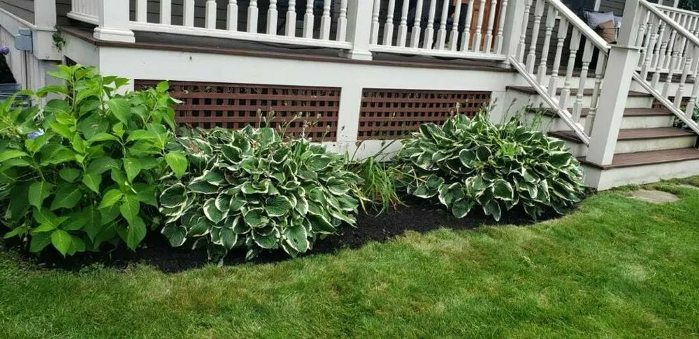 Custom landscape installation in Medford, MA by Smith Landscaping