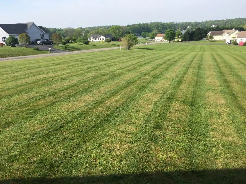 Professional landscape design near you in Spotsylvania Courthouse, VA by Smith Landscaping