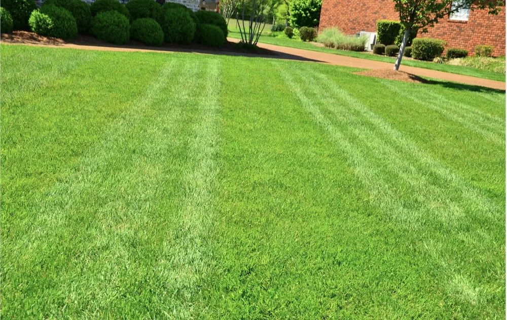 Local lawn care service experts serving Cumming, GA - Smith Lawn And Property Services