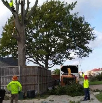 Reliable yard cleanup service for homes across Richland Hills, TX - Smith Lawn and Tree