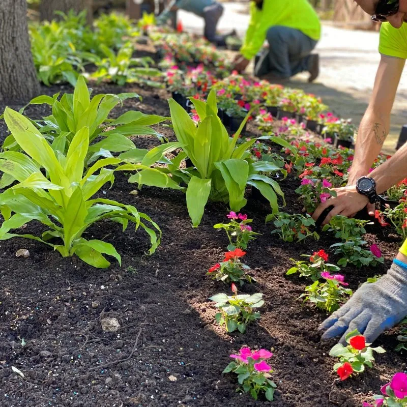 Top-rated lawn care service experts serving Richland Hills, TX - Smith Lawn and Tree