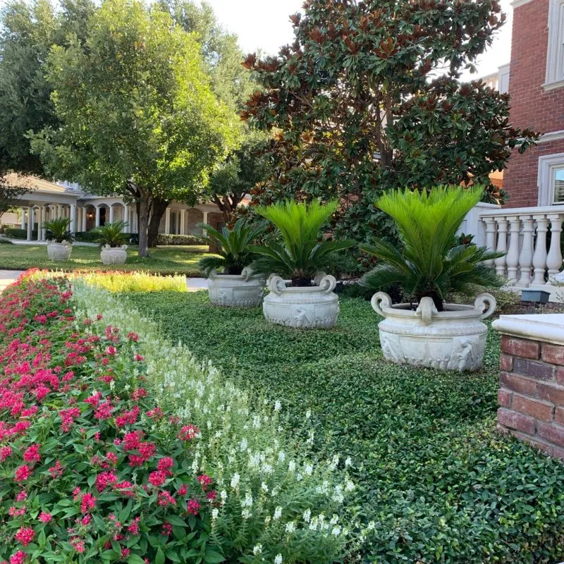 Local landscape installation experts serving Richland Hills, TX - Smith Lawn and Tree