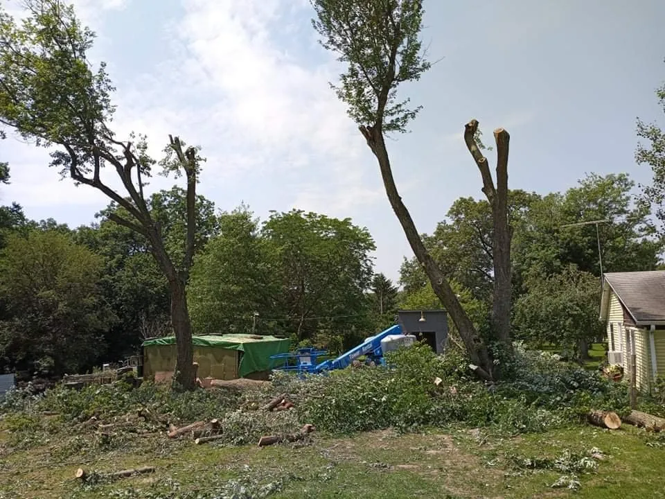 Expert landscape design for homes in Geneseo, IL by Smith Lawn Care & Tree Removal