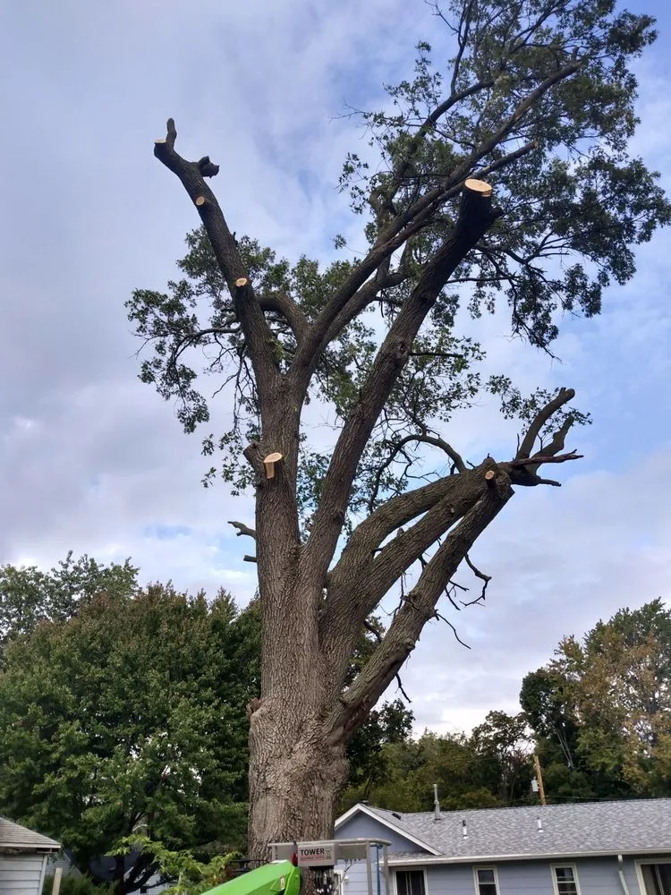 Local outdoor landscaping experts serving Geneseo, IL - Smith Lawn Care & Tree Removal