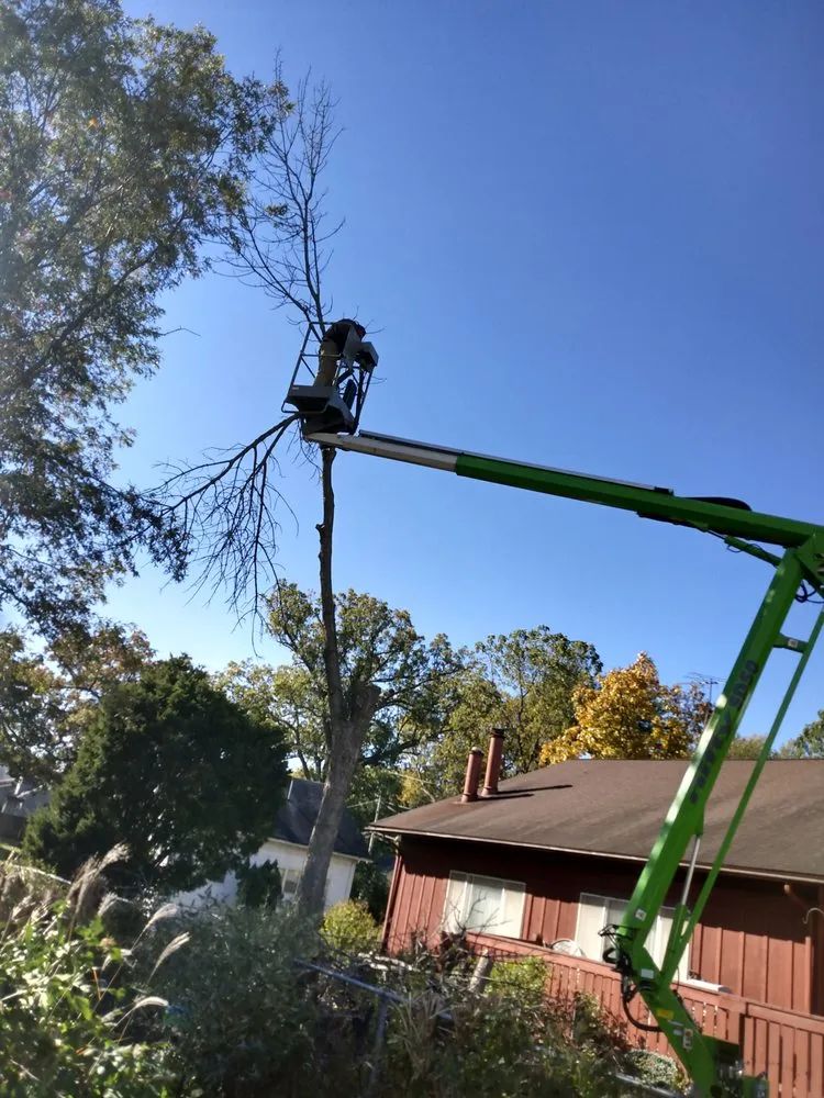 Trusted outdoor landscaping near you in Geneseo, IL by Smith Lawn Care & Tree Removal