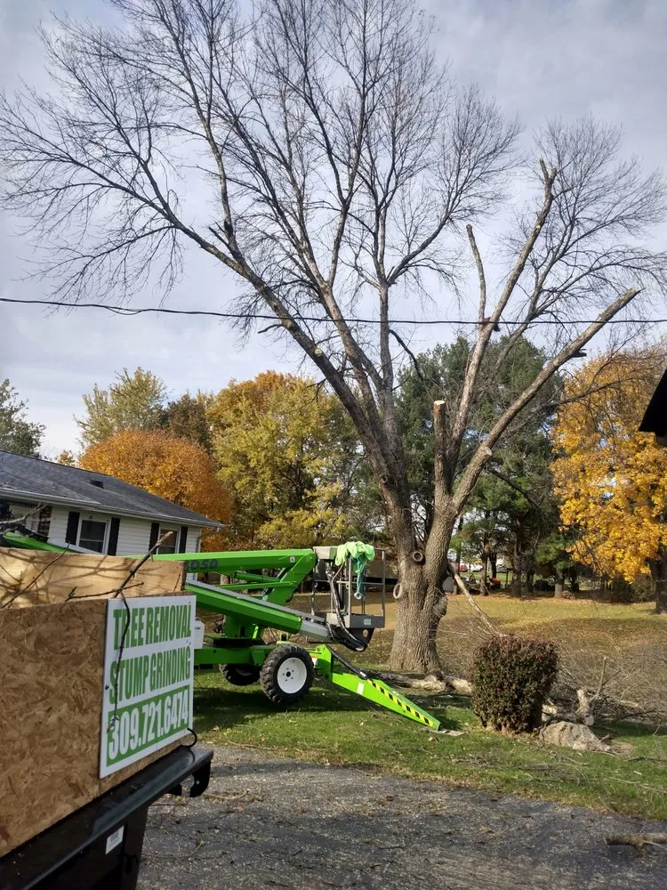 Trusted yard maintenance in Geneseo, IL by Smith Lawn Care & Tree Removal
