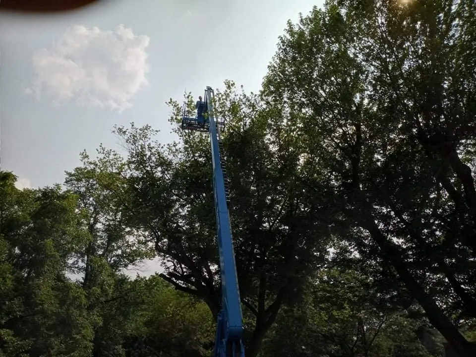 Trusted landscape design for homes across Geneseo, IL - Smith Lawn Care & Tree Removal