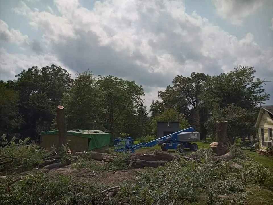 Reliable residential landscaping experts serving Geneseo, IL - Smith Lawn Care & Tree Removal