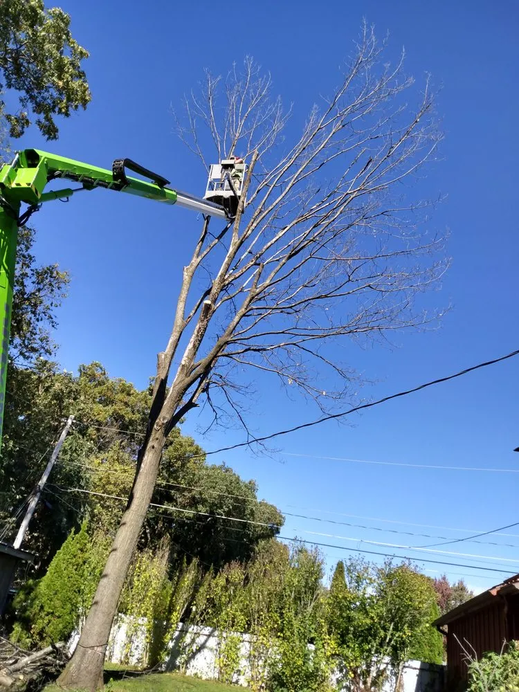 Trusted garden landscaping in Geneseo, IL by Smith Lawn Care & Tree Removal