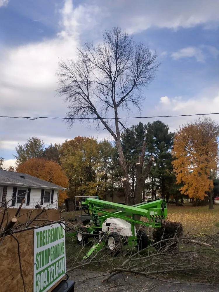 Trusted landscape installation for beautiful yards in Geneseo, IL by Smith Lawn Care & Tree Removal