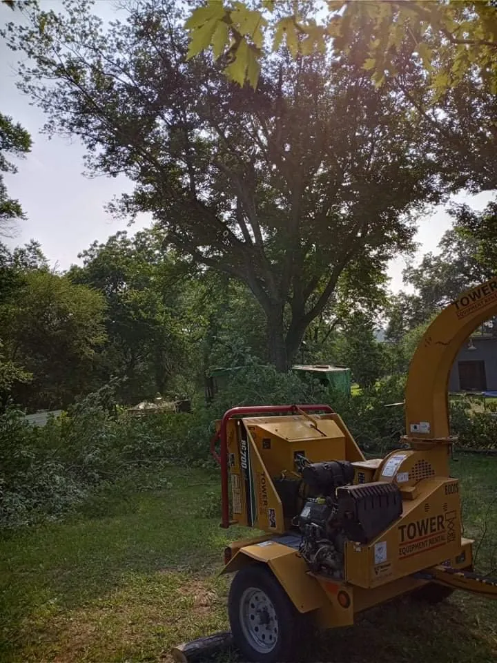 Top-rated yard cleanup service experts serving Geneseo, IL - Smith Lawn Care & Tree Removal