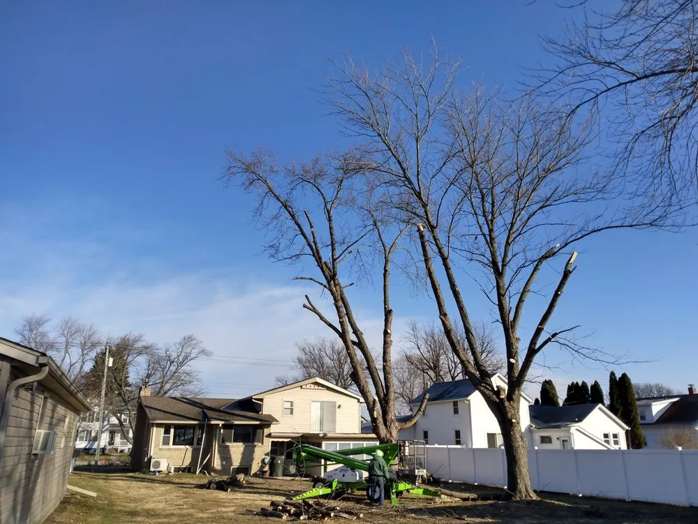 Local residential landscaping for outdoor upgrades in Geneseo, IL by Smith Lawn Care & Tree Removal
