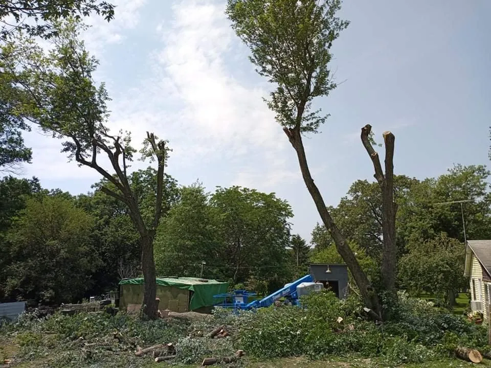 Expert garden landscaping in Geneseo, IL by Smith Lawn Care & Tree Removal