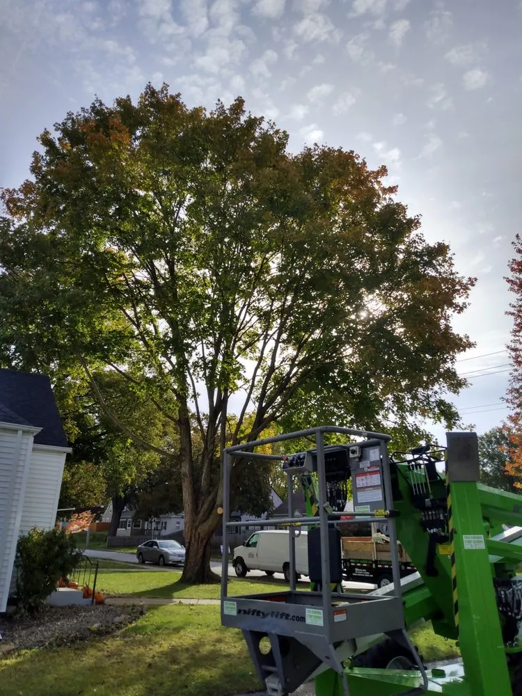 Top-rated landscape design in Geneseo, IL - Smith Lawn Care & Tree Removal