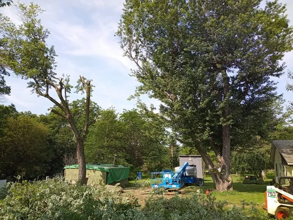 Affordable lawn care service in Geneseo, IL - Smith Lawn Care & Tree Removal