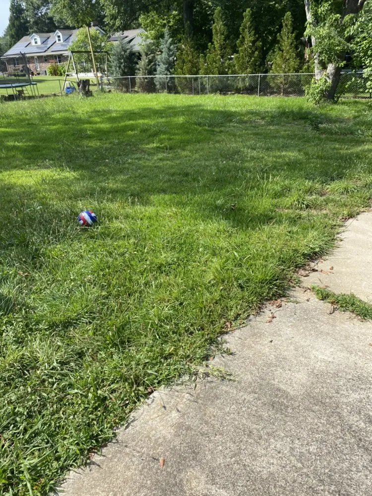 Local landscape design for residential properties across Greenville, SC - Smith Lawncare & Handyman Services