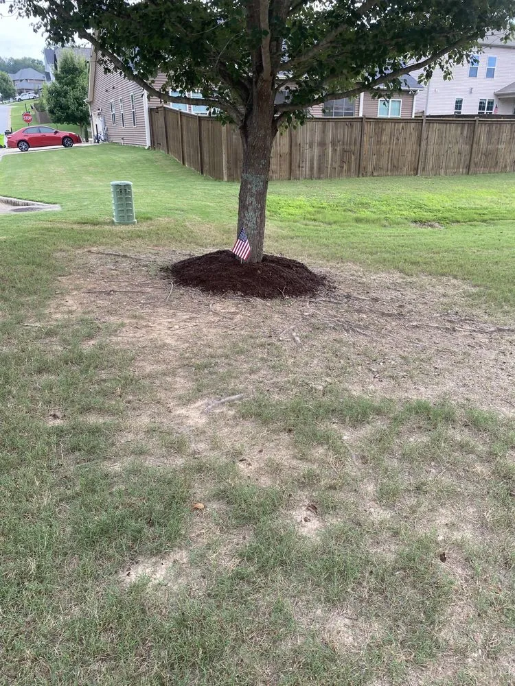 Expert landscape installation for residential properties in Greenville, SC by Smith Lawncare & Handyman Services