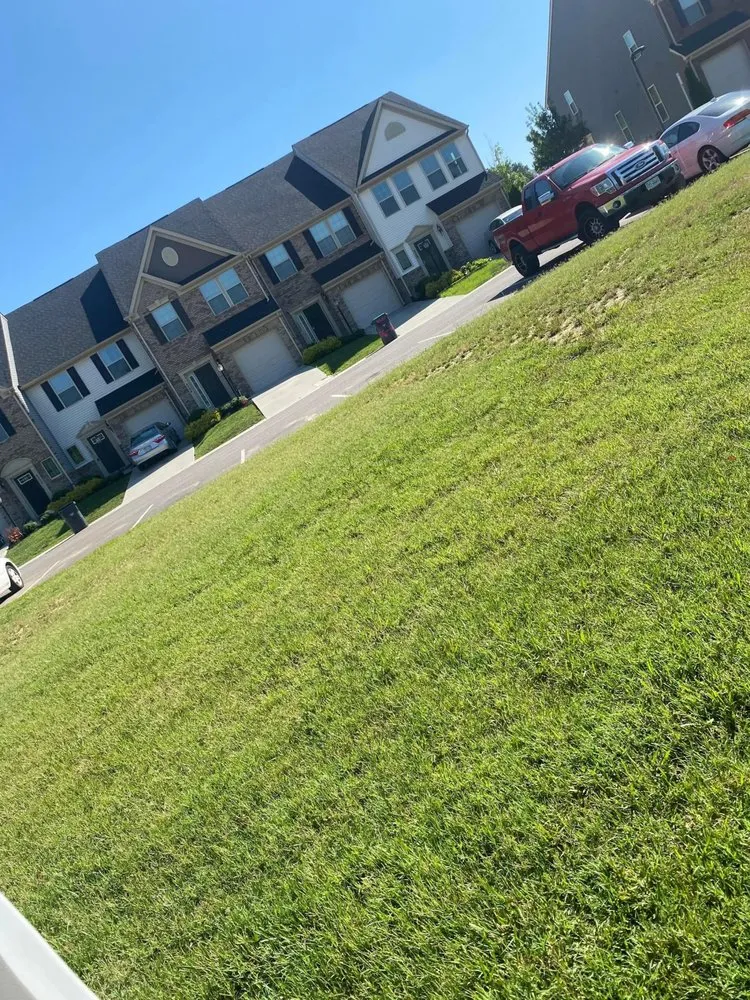 Top-rated yard cleanup service in Ruther Glen, VA - Smith Oaks Landscaping and Tree Removal