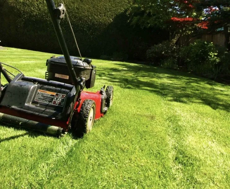 Trusted landscaping services in Fredericksburg, VA - Smith Outdoor Services