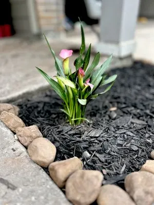 Smith Pro Pressure Wash And Landscaping Logo