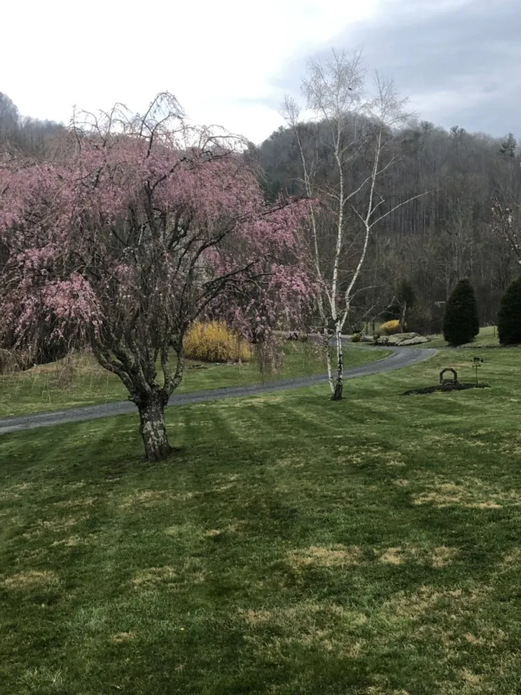 Professional landscape installation in Sugar Grove, NC - Smith Property Management