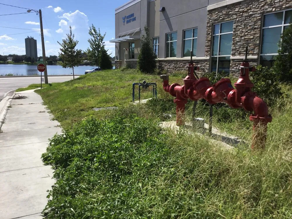 Professional outdoor landscaping with custom design in Lakeland, FL by Smith Property Services