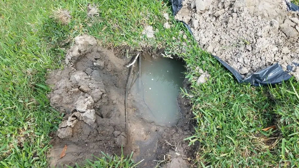 Local yard cleanup service in Lakeland, FL by Smith Property Services