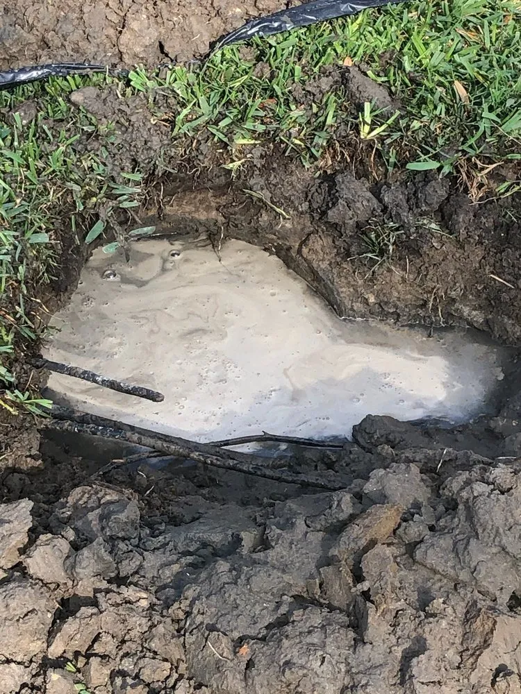 Professional landscaping services experts serving Lakeland, FL - Smith Property Services