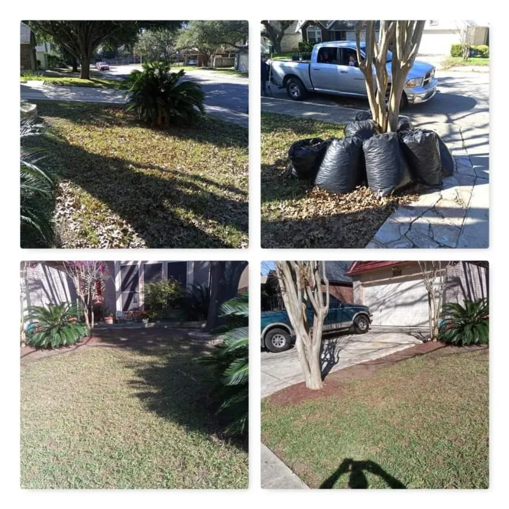 Local lawn care service in San Antonio, TX by Smith Removal Service