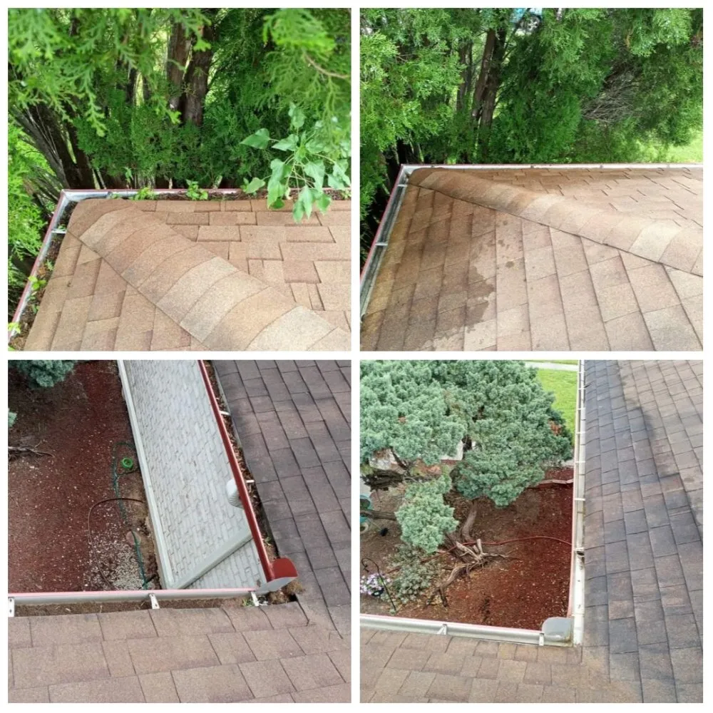 Local lawn mowing service with custom design across San Antonio, TX - Smith Removal Service