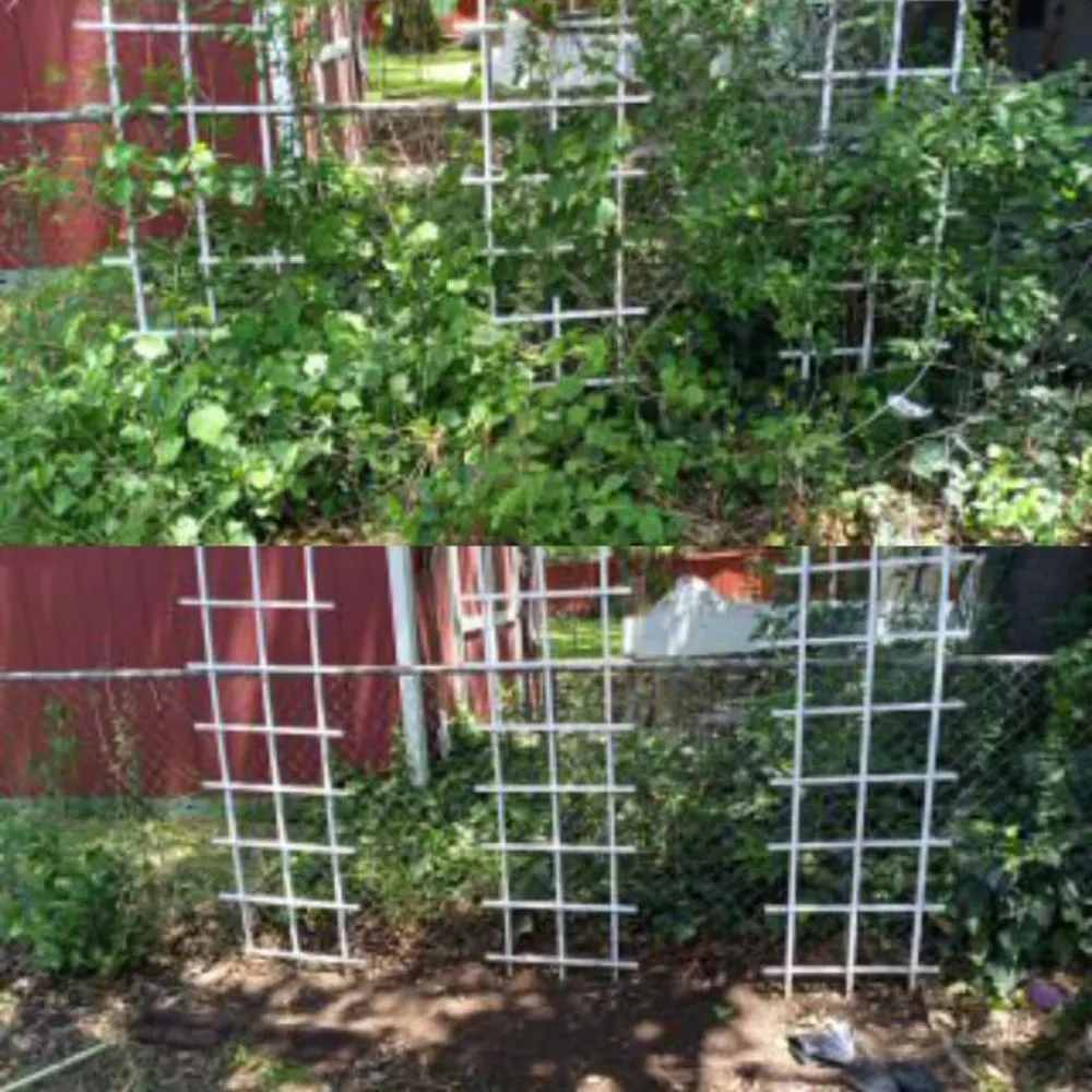 Affordable outdoor landscaping for year-round maintenance across San Antonio, TX - Smith Removal Service