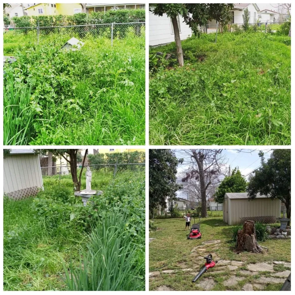 Top-rated yard cleanup service for year-round maintenance across San Antonio, TX - Smith Removal Service