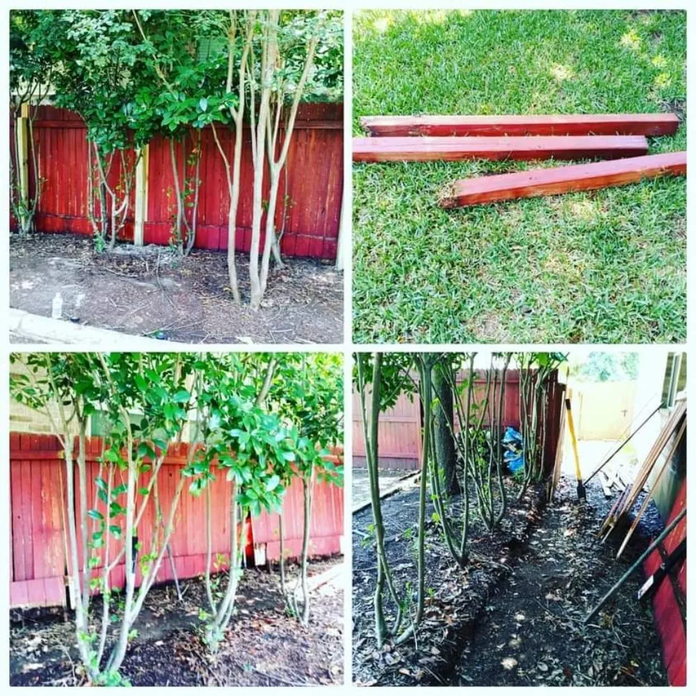 Expert yard maintenance in San Antonio, TX - Smith Removal Service