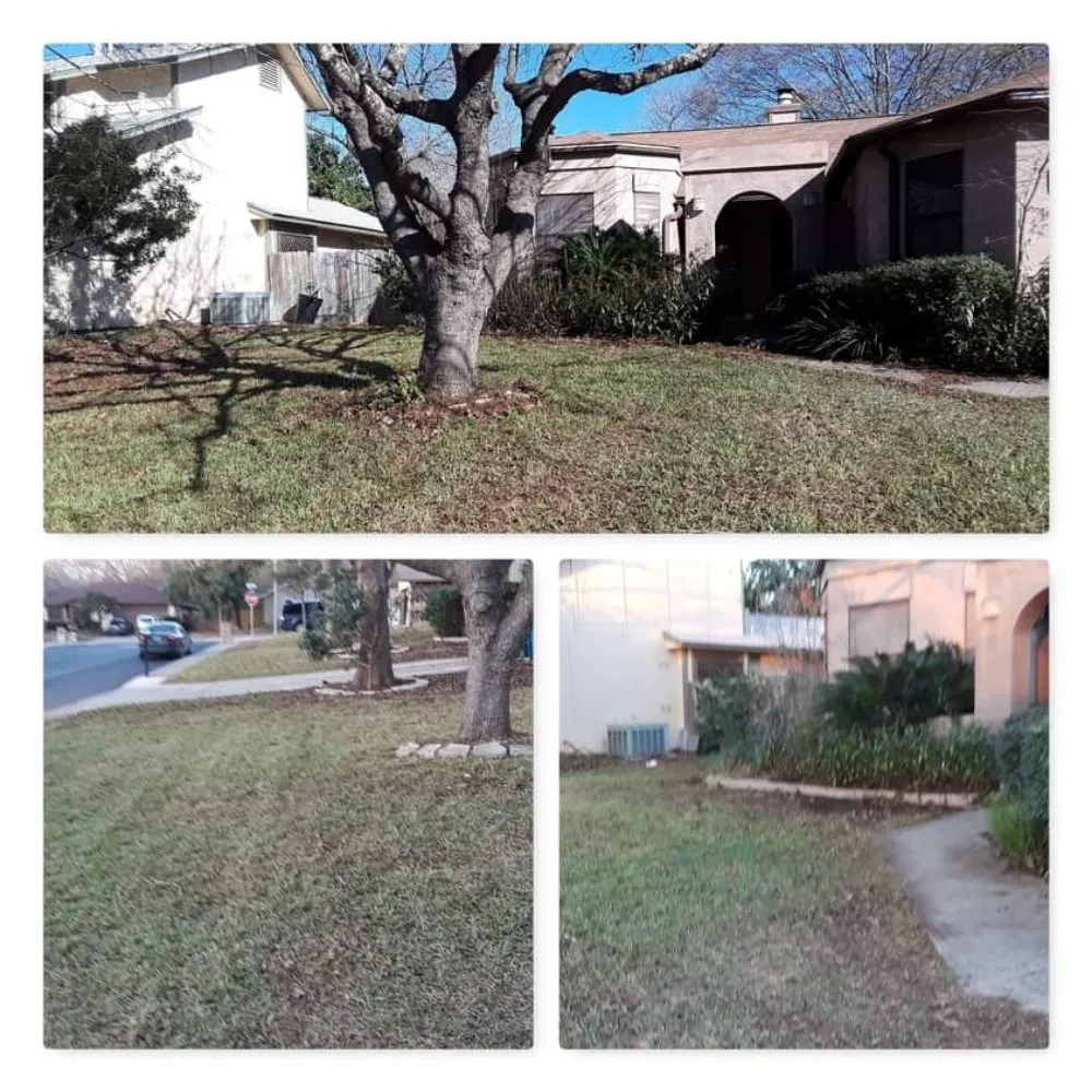 Affordable lawn mowing service in San Antonio, TX by Smith Removal Service