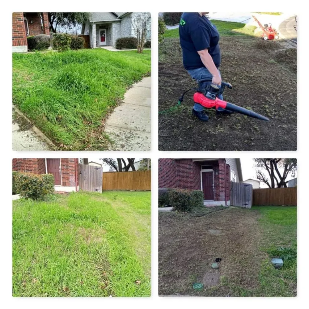 Expert landscaping services in San Antonio, TX - Smith Removal Service