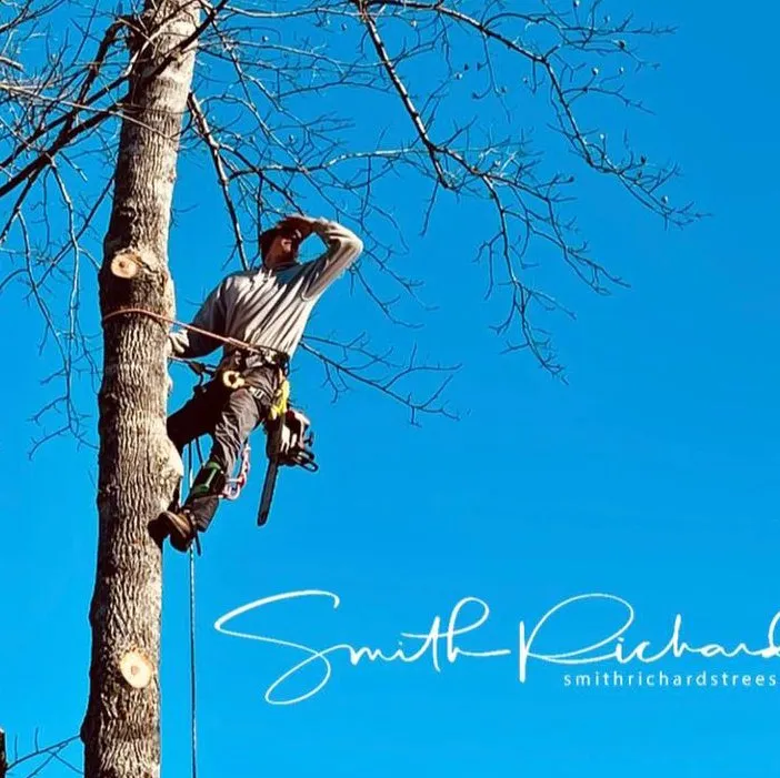 Reliable residential landscaping for homes in Germanton, NC by Smith Richards Land Management