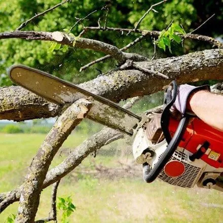 Reliable landscaping services experts serving Germanton, NC - Smith Richards Land Management