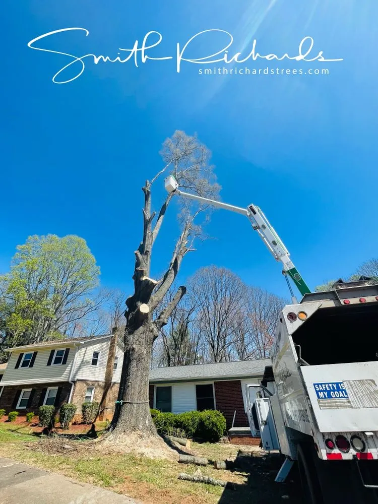 Top-rated yard maintenance near you in Germanton, NC by Smith Richards Land Management