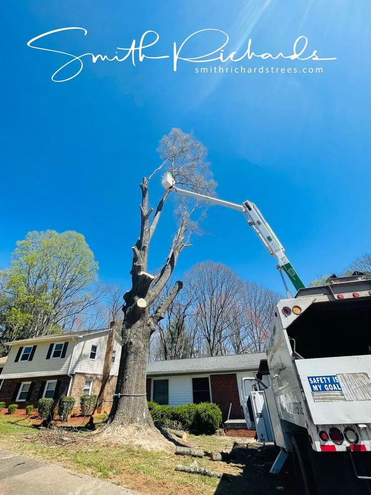 Affordable residential landscaping for residential properties in Germanton, NC by Smith Richards Land Management