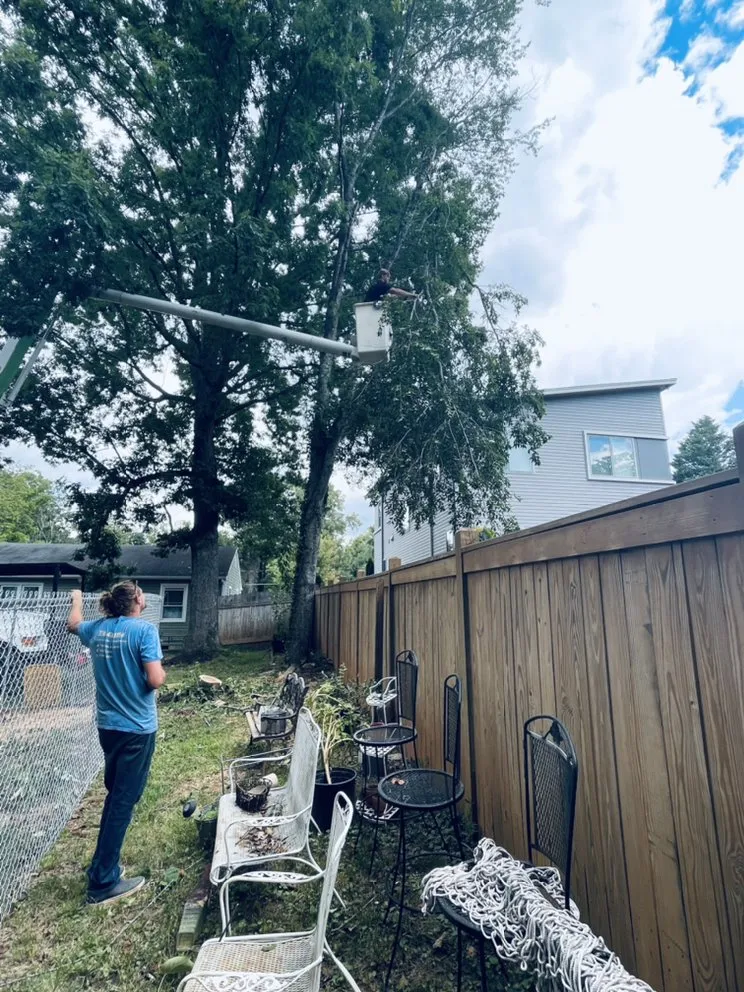 Top-rated yard maintenance in Germanton, NC - Smith Richards Land Management