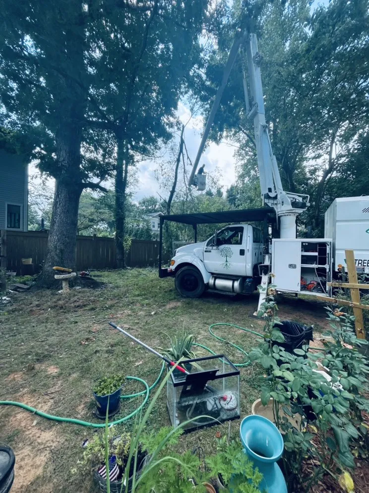 Top-rated yard cleanup service in Germanton, NC by Smith Richards Land Management