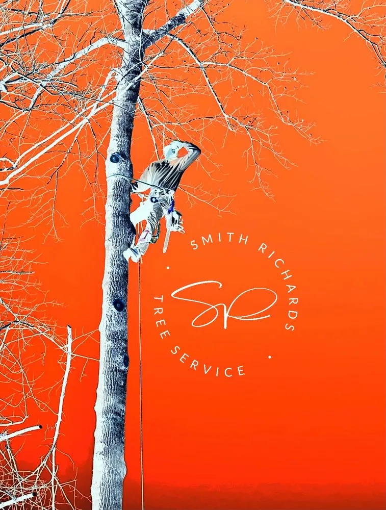 Trusted landscape installation in Germanton, NC by Smith Richards Land Management