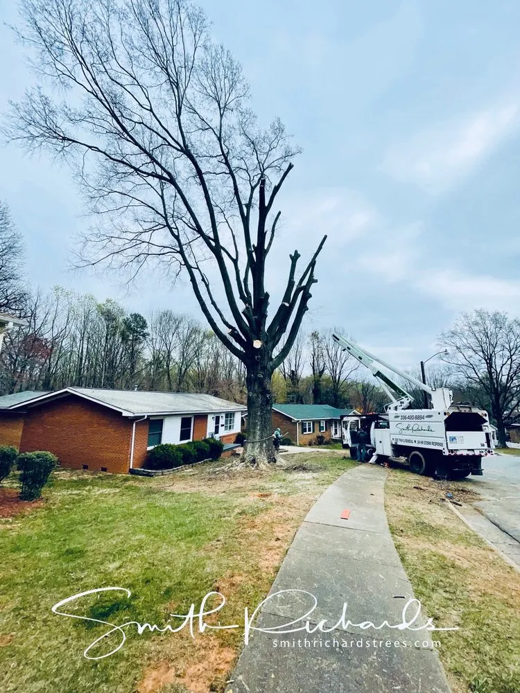 Affordable outdoor landscaping experts serving Germanton, NC - Smith Richards Land Management