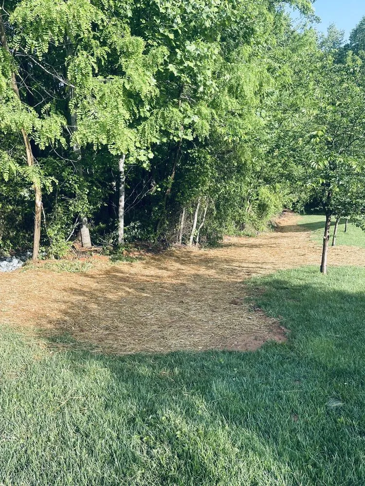Local landscape design in Germanton, NC - Smith Richards Land Management