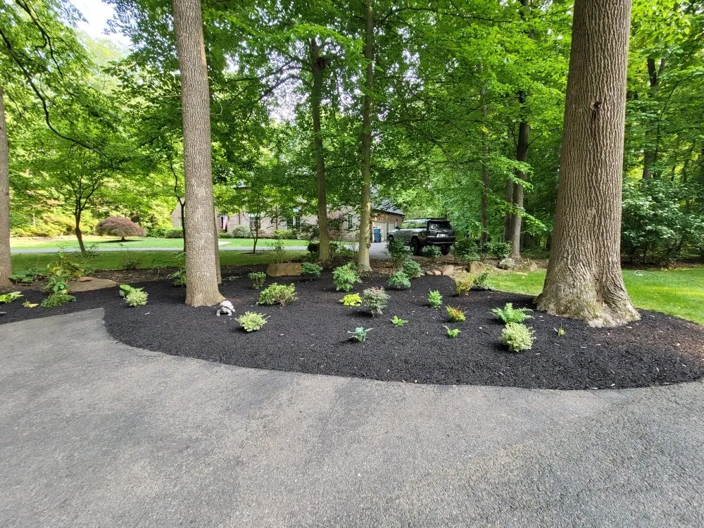 Expert landscape design with custom design across Hydes, MD - Smith Services Landscapes