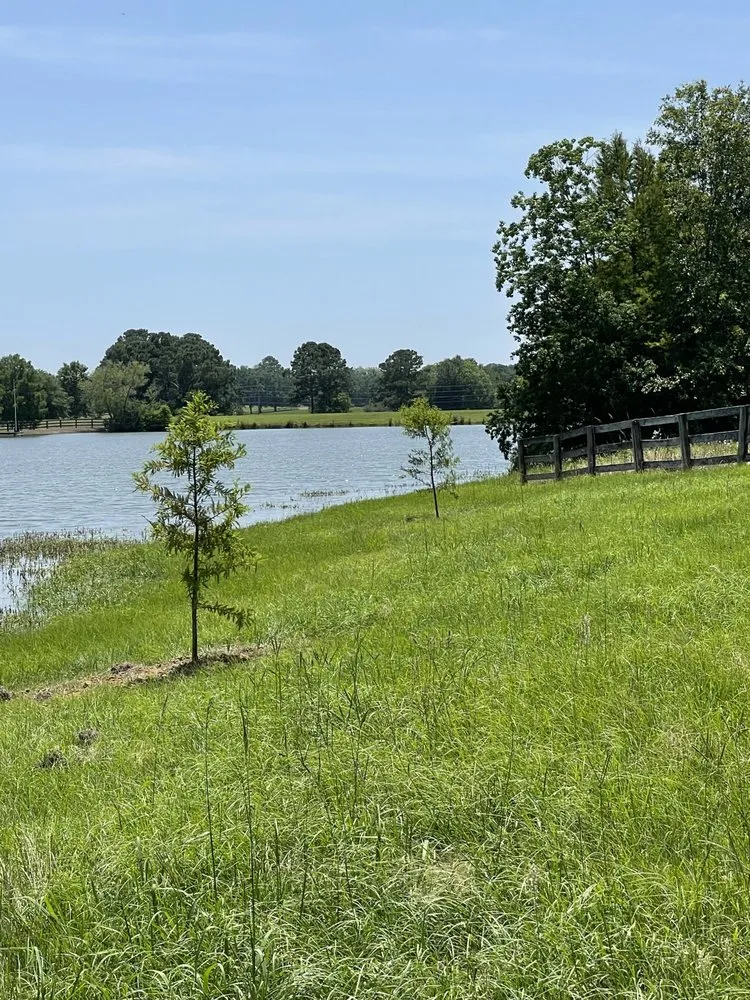 Professional landscape design in Fairhope, AL - Smith Straw