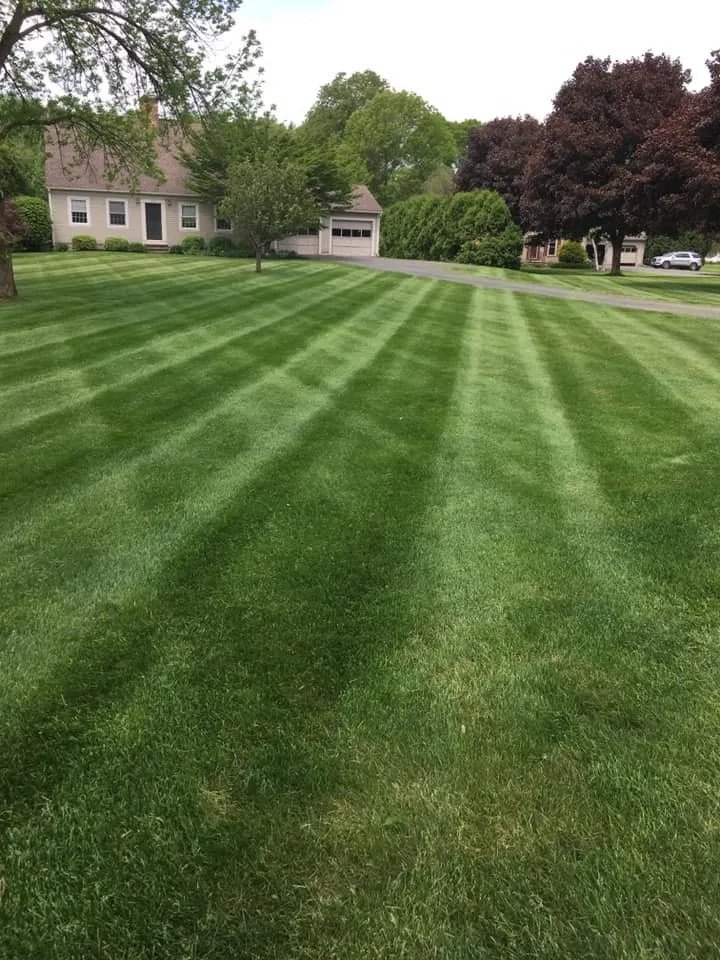 Affordable outdoor landscaping in Conway, MA - Smith Tree & Landscaping