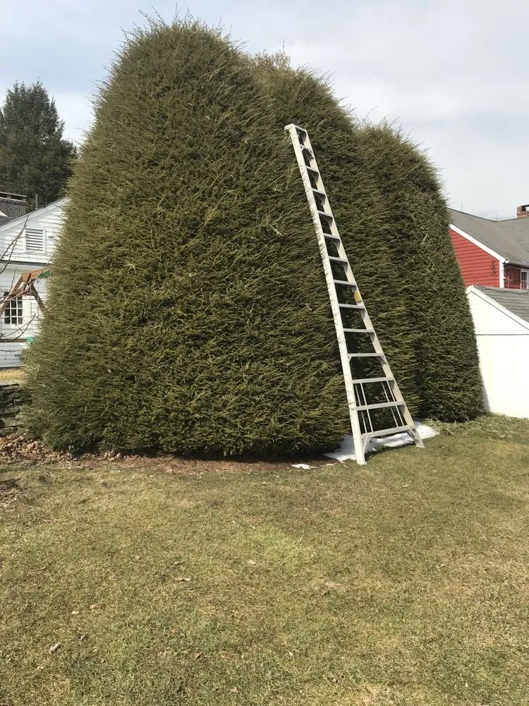 Custom residential landscaping in Northfield, CT by Smith Tree Works